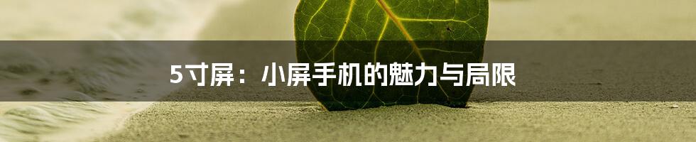 5寸屏：小屏手机的魅力与局限