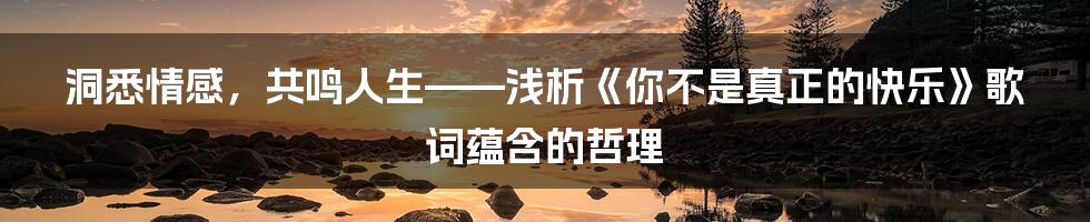 洞悉情感，共鸣人生——浅析《你不是真正的快乐》歌词蕴含的哲理