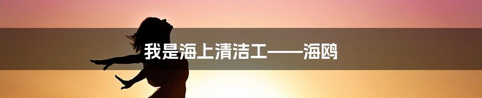 我是海上清洁工——海鸥