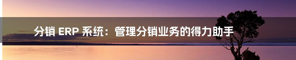 分销 ERP 系统：管理分销业务的得力助手