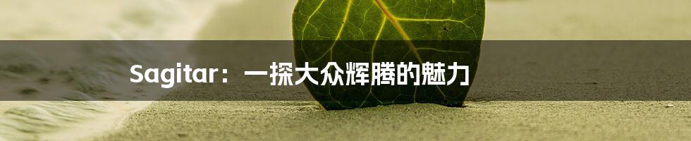 Sagitar：一探大众辉腾的魅力