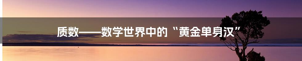 质数——数学世界中的“黄金单身汉”