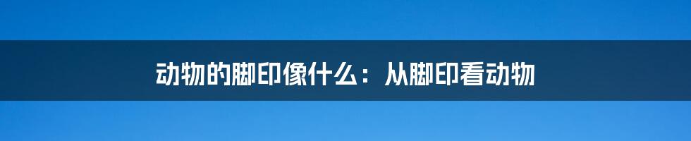 动物的脚印像什么：从脚印看动物