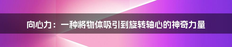 向心力：一种将物体吸引到旋转轴心的神奇力量