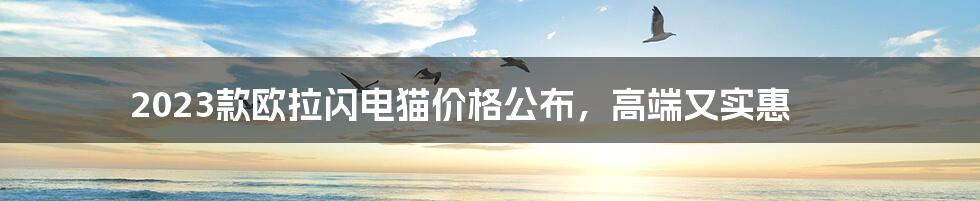 2023款欧拉闪电猫价格公布，高端又实惠