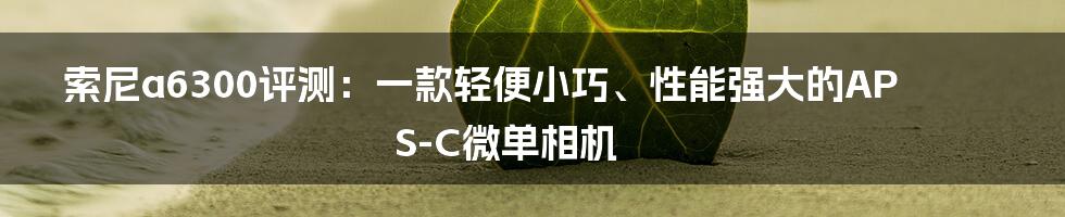 索尼a6300评测：一款轻便小巧、性能强大的APS-C微单相机