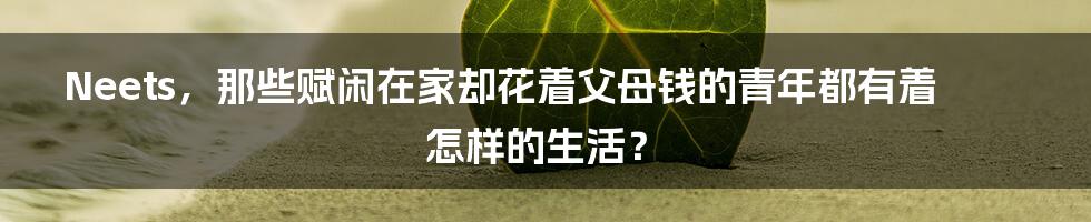 Neets，那些赋闲在家却花着父母钱的青年都有着怎样的生活？