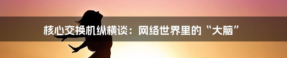 核心交换机纵横谈：网络世界里的“大脑”