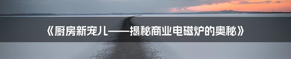 《厨房新宠儿——揭秘商业电磁炉的奥秘》