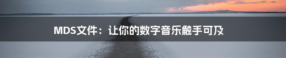 MDS文件：让你的数字音乐触手可及