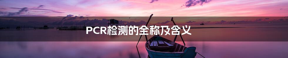 PCR检测的全称及含义