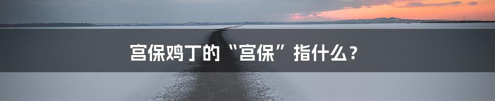 宫保鸡丁的“宫保”指什么？