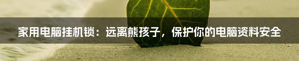 家用电脑挂机锁：远离熊孩子，保护你的电脑资料安全