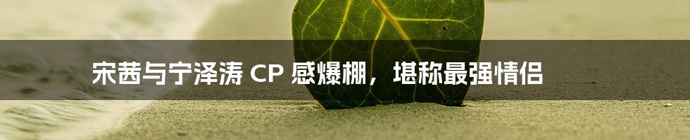 宋茜与宁泽涛 CP 感爆棚，堪称最强情侣