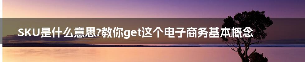 SKU是什么意思?教你get这个电子商务基本概念