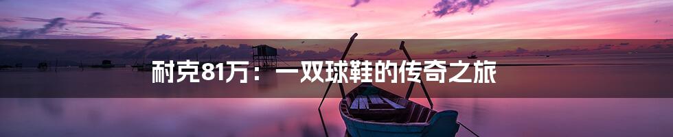 耐克81万：一双球鞋的传奇之旅