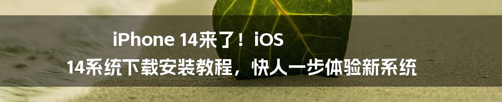 iPhone 14来了！iOS 14系统下载安装教程，快人一步体验新系统