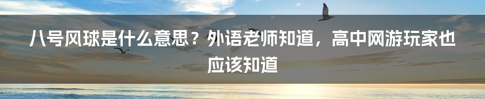 八号风球是什么意思？外语老师知道，高中网游玩家也应该知道