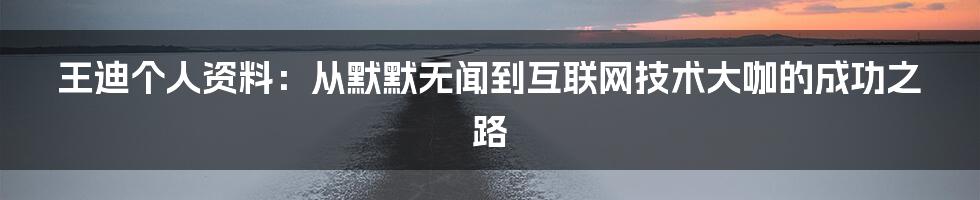 王迪个人资料：从默默无闻到互联网技术大咖的成功之路