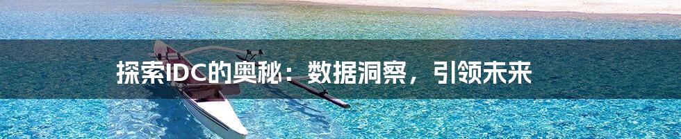 探索IDC的奥秘：数据洞察，引领未来