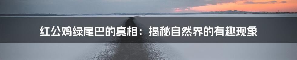 红公鸡绿尾巴的真相：揭秘自然界的有趣现象