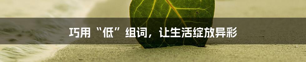 巧用“低”组词，让生活绽放异彩