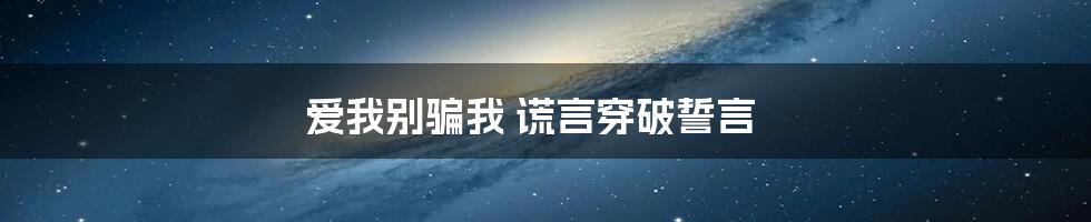 爱我别骗我 谎言穿破誓言