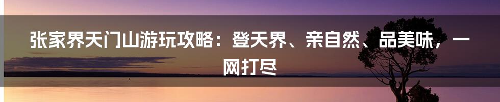 张家界天门山游玩攻略：登天界、亲自然、品美味，一网打尽