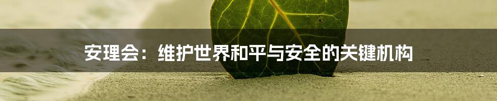 安理会：维护世界和平与安全的关键机构