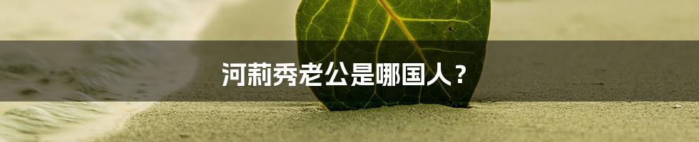 河莉秀老公是哪国人？