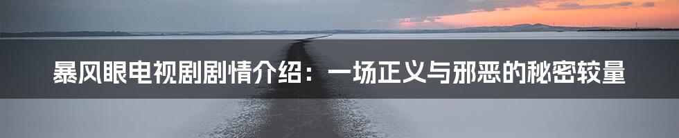 暴风眼电视剧剧情介绍：一场正义与邪恶的秘密较量