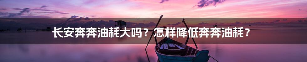 长安奔奔油耗大吗？怎样降低奔奔油耗？