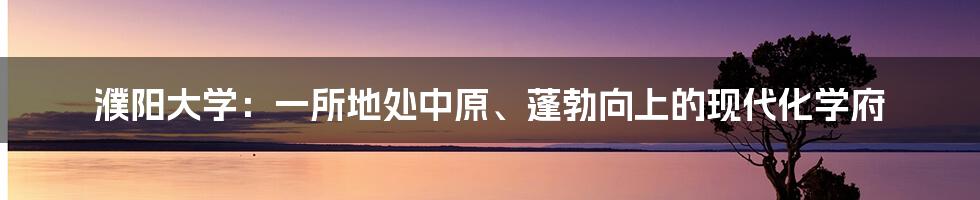 濮阳大学：一所地处中原、蓬勃向上的现代化学府