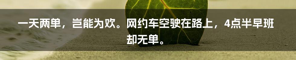 一天两单，岂能为欢。网约车空驶在路上，4点半早班却无单。