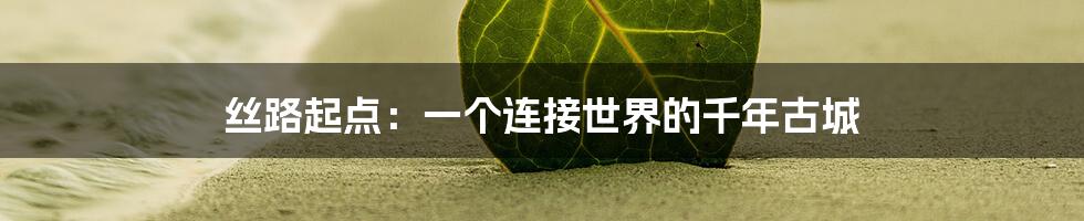 丝路起点：一个连接世界的千年古城