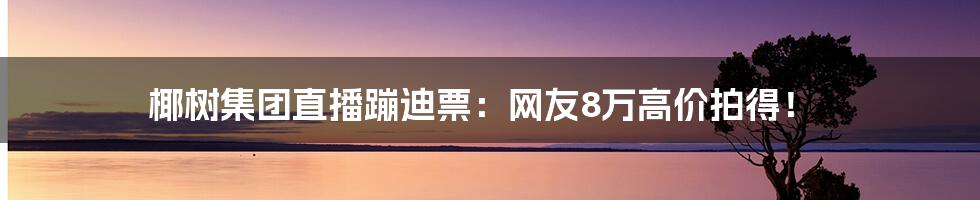 椰树集团直播蹦迪票：网友8万高价拍得！