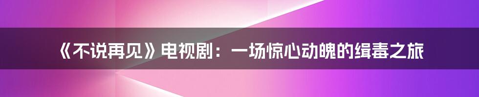 《不说再见》电视剧：一场惊心动魄的缉毒之旅