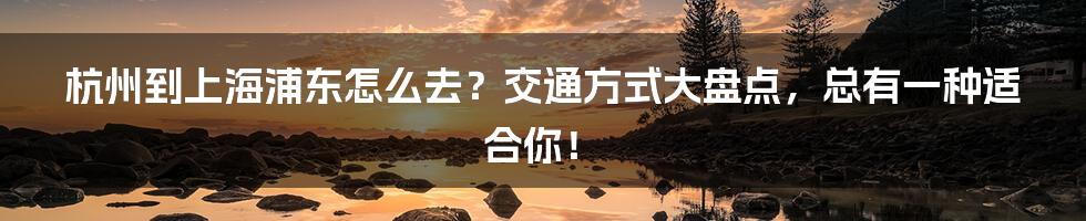 杭州到上海浦东怎么去？交通方式大盘点，总有一种适合你！