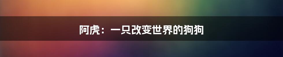 阿虎：一只改变世界的狗狗