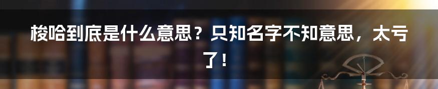 梭哈到底是什么意思？只知名字不知意思，太亏了！