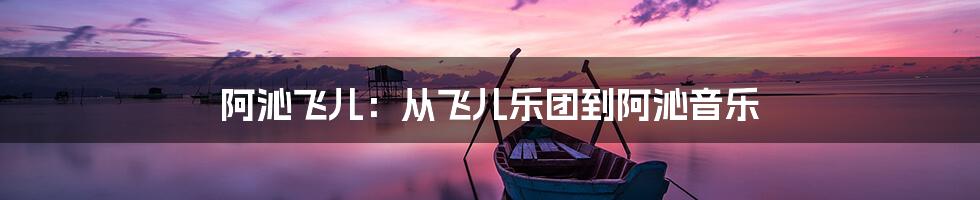 阿沁飞儿：从飞儿乐团到阿沁音乐