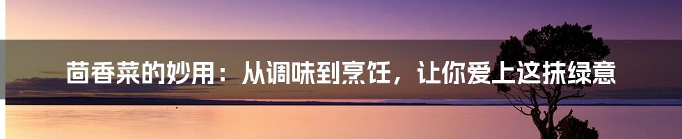 茴香菜的妙用：从调味到烹饪，让你爱上这抹绿意