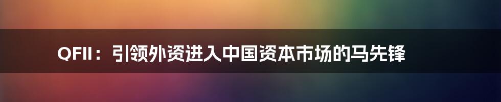 QFII：引领外资进入中国资本市场的马先锋