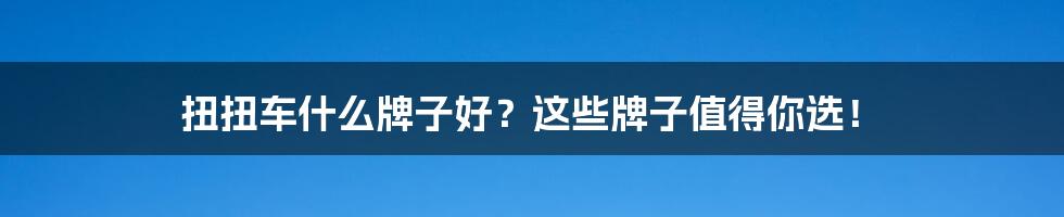 扭扭车什么牌子好？这些牌子值得你选！