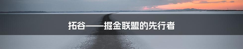 拓谷——掘金联盟的先行者