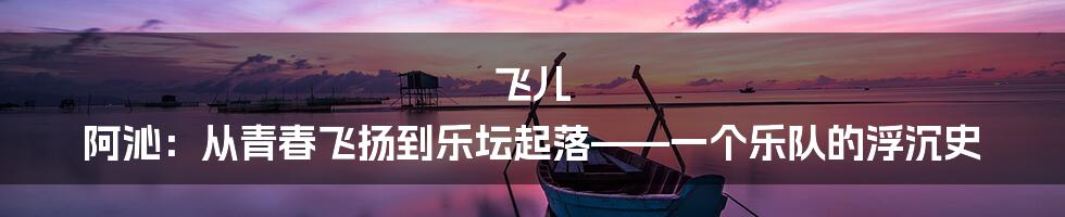 飞儿 阿沁：从青春飞扬到乐坛起落——一个乐队的浮沉史