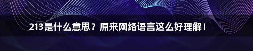 213是什么意思？原来网络语言这么好理解！