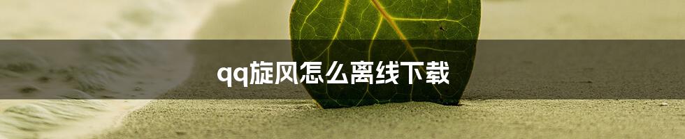 qq旋风怎么离线下载