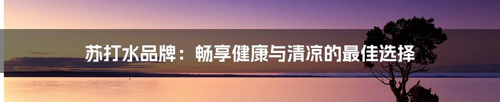 苏打水品牌：畅享健康与清凉的最佳选择