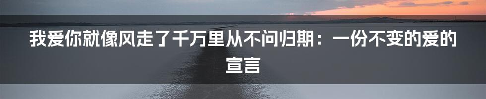 我爱你就像风走了千万里从不问归期：一份不变的爱的宣言